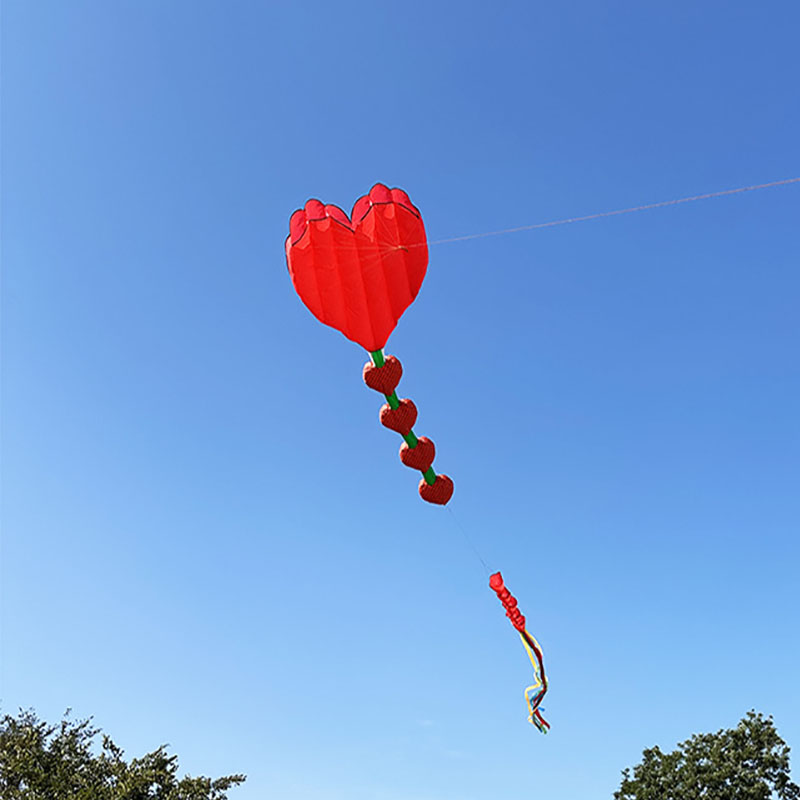 2026 New Heart Shape Kite Soft - Kids Outdoor Area review and price