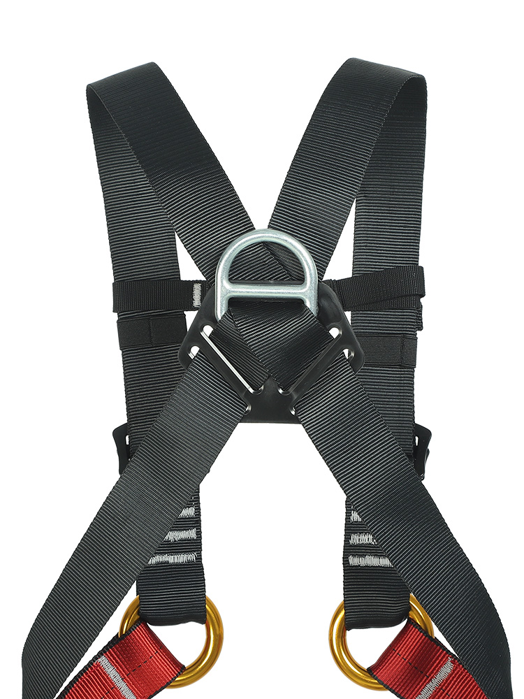 Kid's Safety Belt Child Full B - Kids Outdoor Climbing review and price