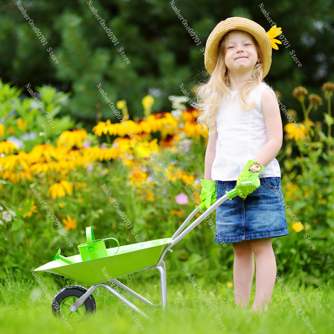 Kids Outdoor Wheelbarrow, Gree - Kids Outdoor Activity Toys review and price