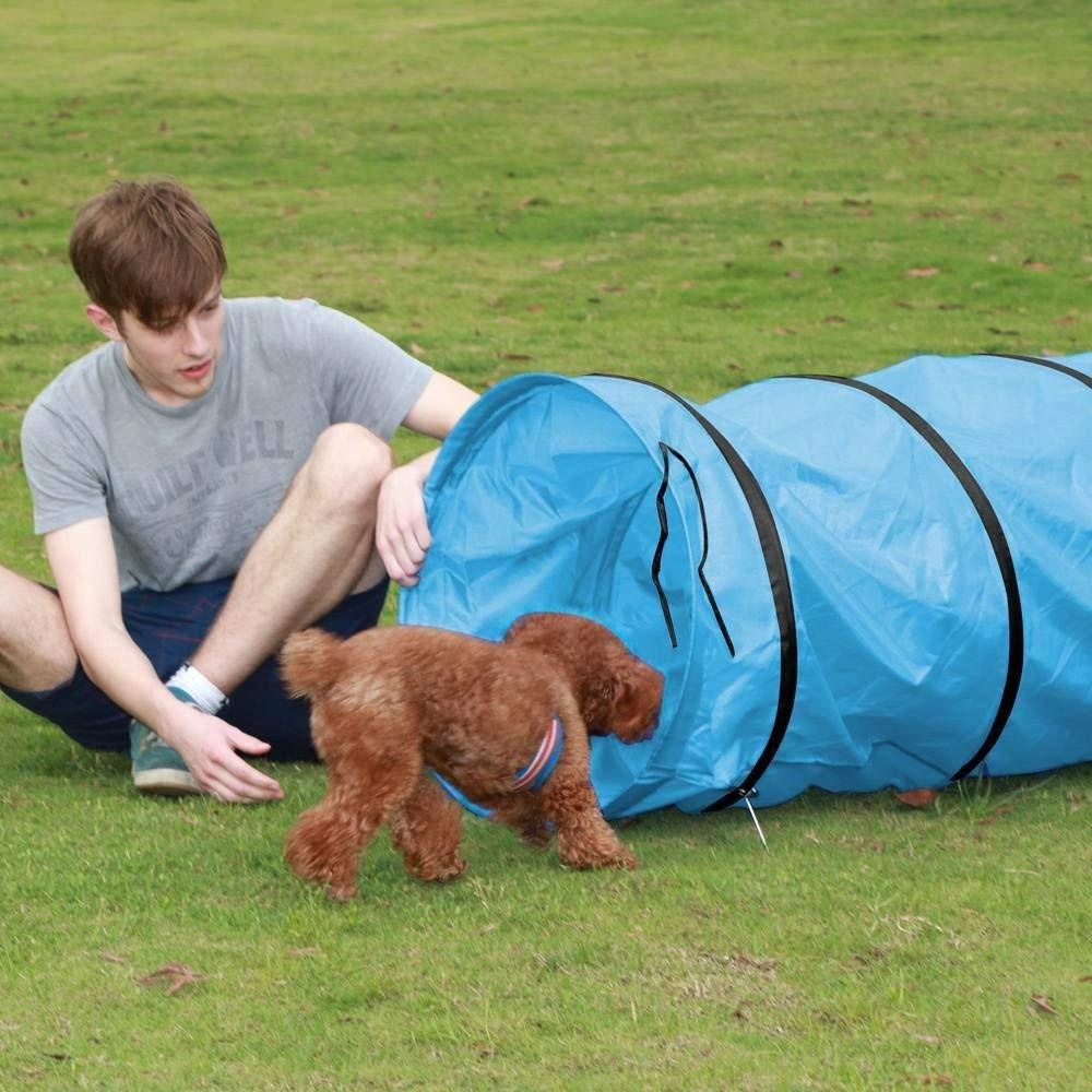 Kids Play Tunnel Pet Dog Tent  - Kids Outdoor Play Tent review and price