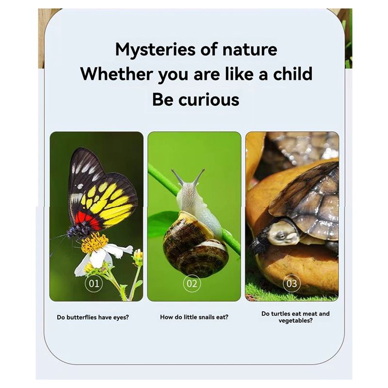 A67P-New Bug Viewer Outdoor In - Kids Outdoor Explorer Kit review and price